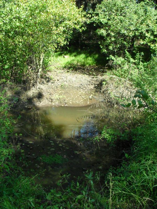 image031.jpg